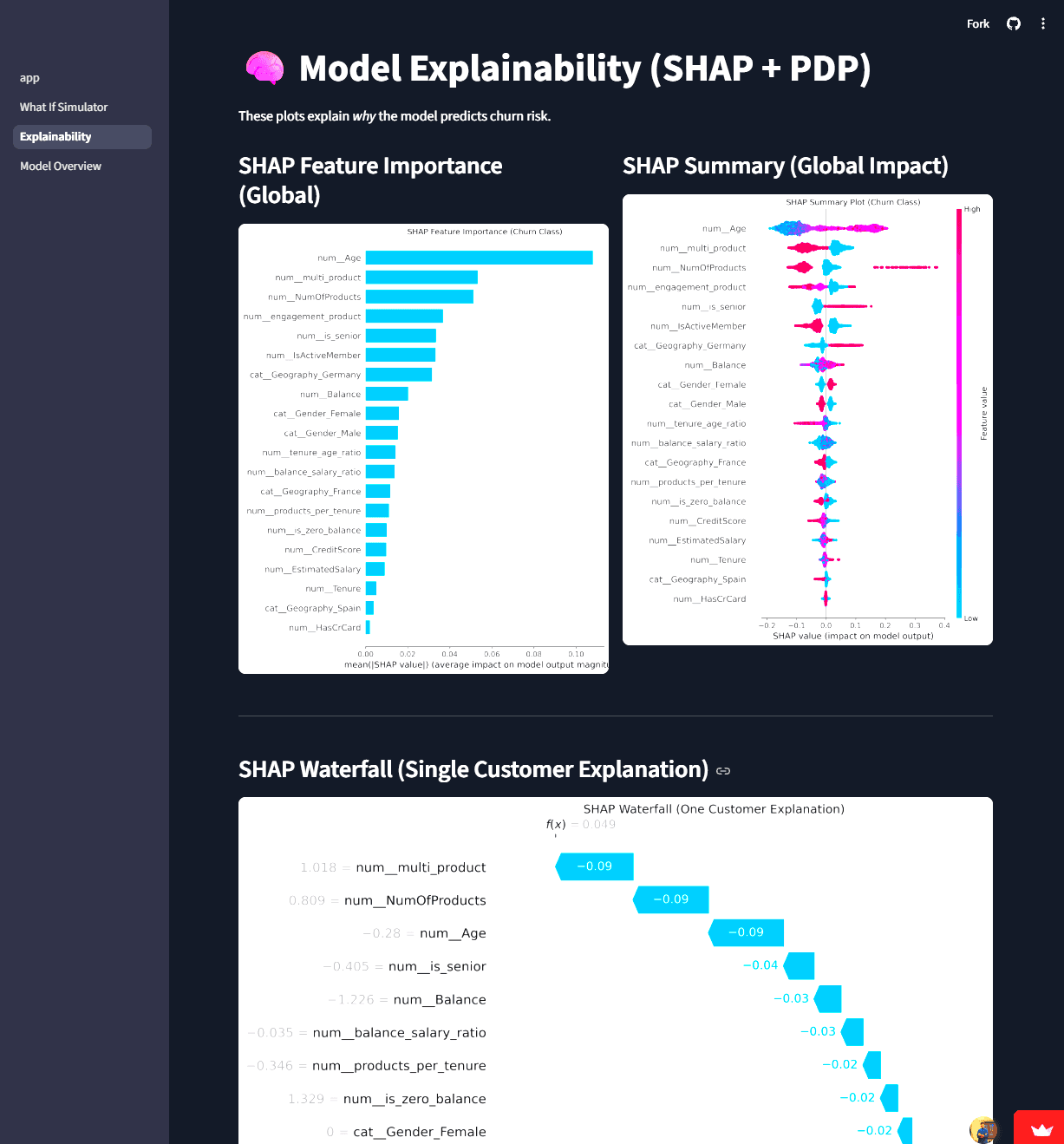 SHAP explainability view