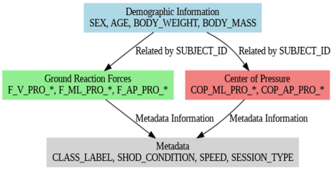 Gait dataset overview
